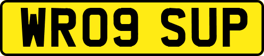 WR09SUP