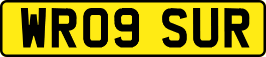 WR09SUR