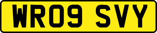 WR09SVY