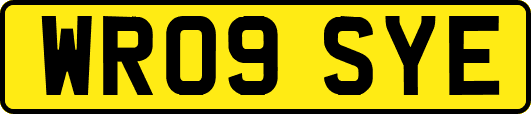 WR09SYE
