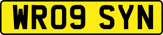 WR09SYN