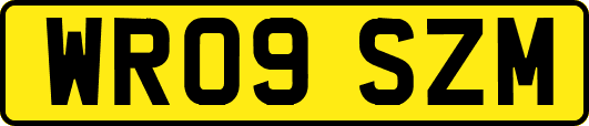 WR09SZM