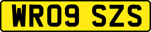 WR09SZS