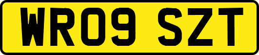 WR09SZT