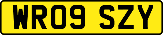 WR09SZY
