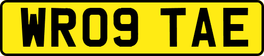 WR09TAE