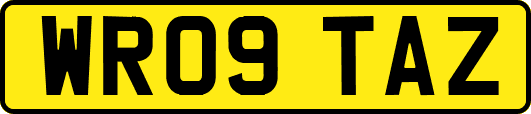 WR09TAZ