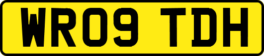 WR09TDH