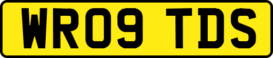 WR09TDS