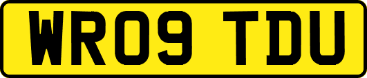 WR09TDU