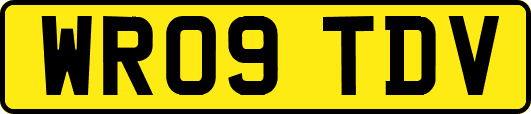 WR09TDV