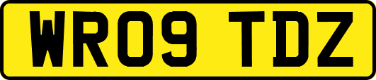 WR09TDZ
