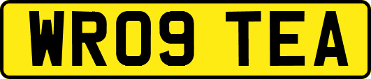 WR09TEA