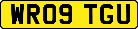 WR09TGU