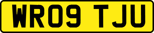 WR09TJU