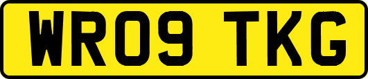 WR09TKG