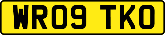 WR09TKO