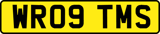 WR09TMS