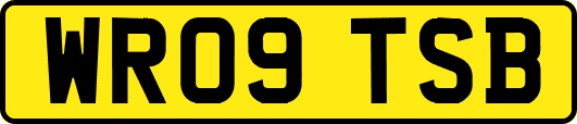 WR09TSB