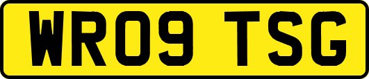 WR09TSG