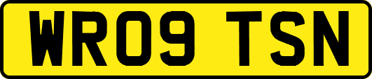 WR09TSN