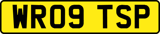 WR09TSP