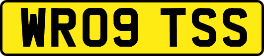 WR09TSS