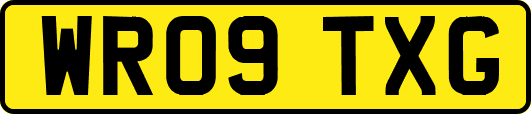 WR09TXG