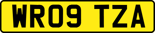 WR09TZA
