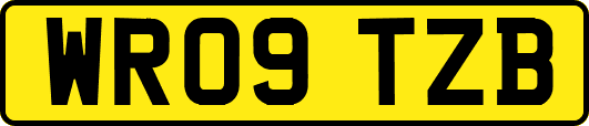 WR09TZB