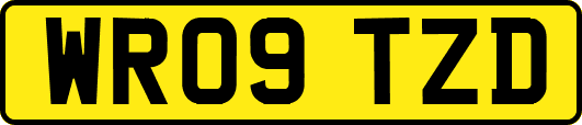 WR09TZD