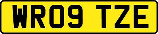 WR09TZE
