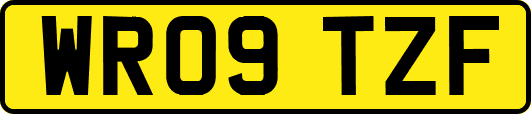 WR09TZF