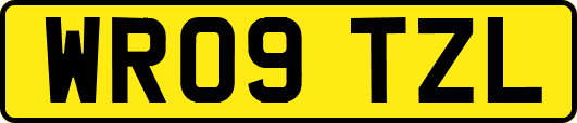 WR09TZL