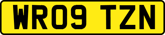 WR09TZN