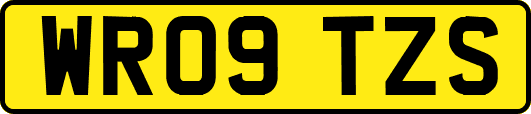 WR09TZS
