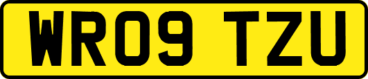 WR09TZU
