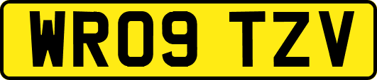 WR09TZV