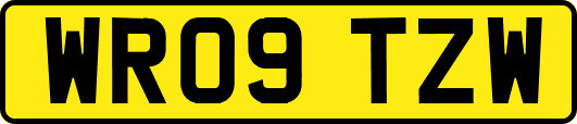 WR09TZW