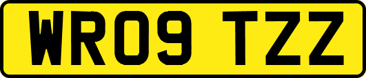 WR09TZZ