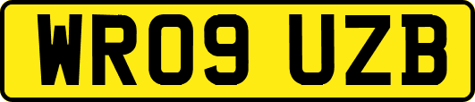 WR09UZB