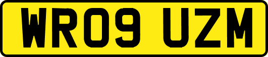 WR09UZM