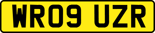 WR09UZR