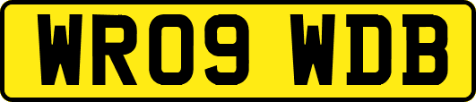 WR09WDB