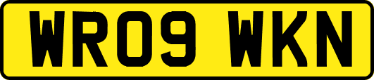 WR09WKN