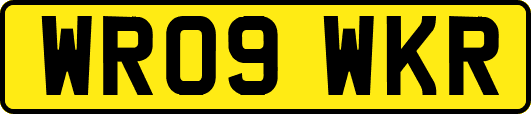 WR09WKR