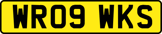 WR09WKS