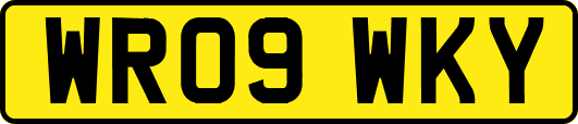 WR09WKY