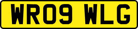 WR09WLG