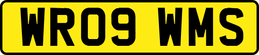 WR09WMS